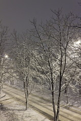 street at night during a snowfall