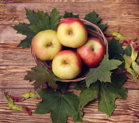 bottle of wine, glass, leaves, wooden