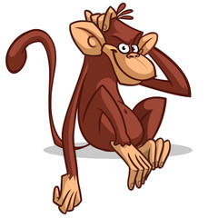 Vector illustration of isolated monkey sitting