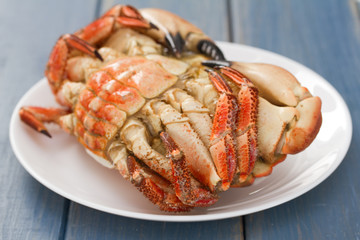 boiled crab on white plate on blue wooden background
