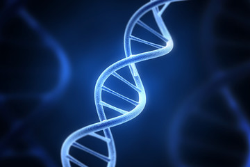 Ludzkie DNA