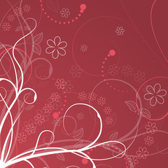 Floral vector illustration with spiral elements, flowers and plants.