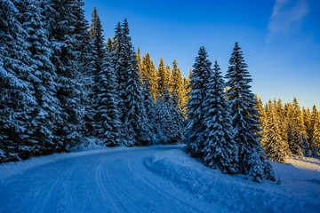 Winter landscape, snow-covered trees,Tatra Mountains, Poland