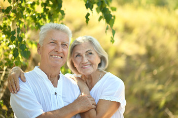 mature couple   in summer park