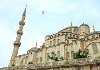 Fototapeta na wymiar Fragment of Blue Mosque in Istanbul, Turkey