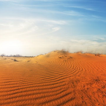 red sand desert at the sunset