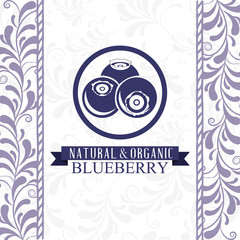 delicious blueberry design 