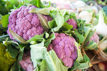 Purple cauliflower on market shelf