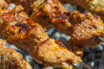 closeup preparing fresh barbecue