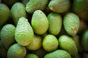Green background of avocado heap