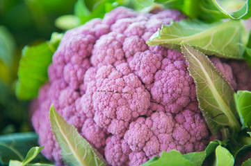 Purple cauliflower on market shelf