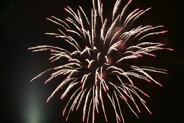 Feu d'artifice rouge