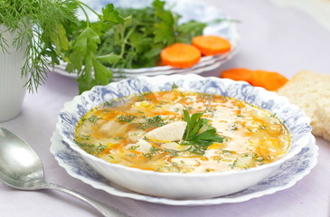 Chicken soup with vegetables