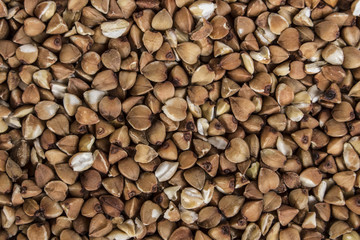 buckwheat texture
