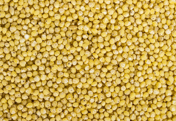millet texture