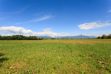 Agriculture, uncultivated field