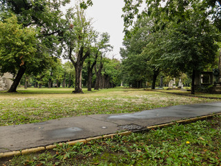 kerepesi cemetery in Budapest