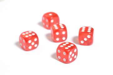 dice on the table
