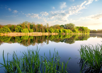 Reflection of forest in river