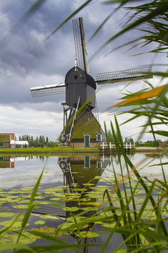 Molino en Kinderdijk junto a los canales típicos de Holanda y nenúfares.