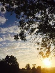 Sonnenaufgang hinter Bäumen