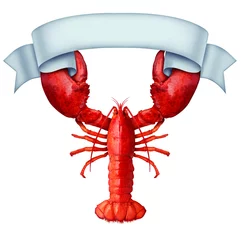 Zelfklevend Fotobehang Lobster Banner Ribbon © freshidea