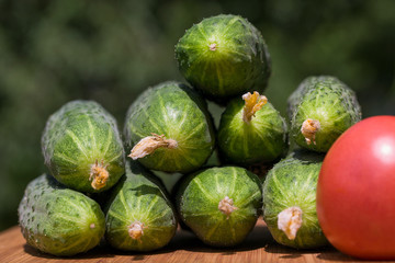 Cucumbers and tomato
