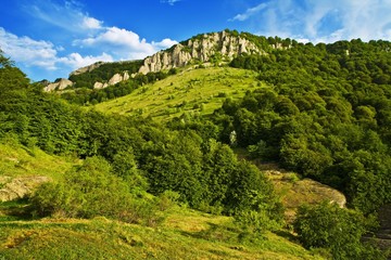 Fototapeta na wymiar Green hill with blue sky. Summer landscape