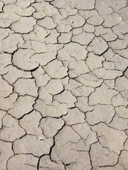 Fototapeta premium Cracked soil by drought