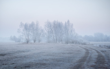Obraz na płótnie Canvas Frost, field, road