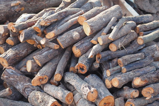 Pieces of wood prepare for making charcoal in rural of Thailand