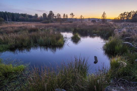 mare dans les fagnes au soleil couchant