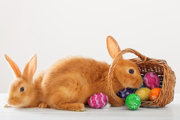 rabbits with Easter eggs on white  background