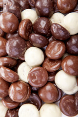 Typical dutch sweets: chocolate pepernoten (ginger nuts)