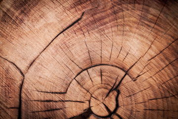 Fototapeta premium Wood background