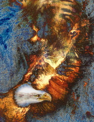 beautiful painting of eagle on an abstract background, color with spot structures