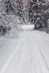Fototapeta premium Winter forest road