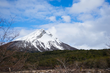 tierra de fuego national park in argentina.