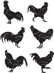 Rooster, cock, black, illustration, insulation, drawing, silhouette, portrait, various poses