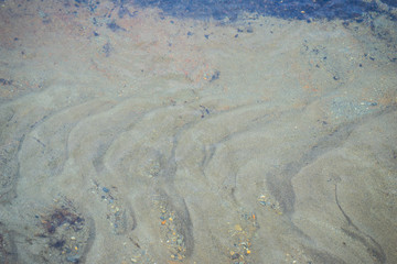 tierra de fuego national park in argentina.