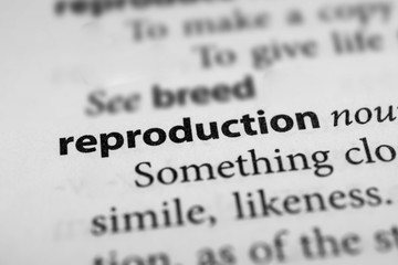 Reproduction