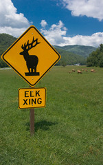 Elk Crossing Sign with Elk in Background