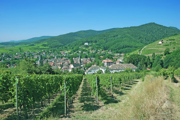 Fototapeta na wymiar der bekannte Weinort Ribeauville im Elsass nahe Colmar,Frankreich