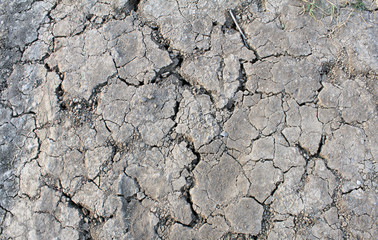 arid land