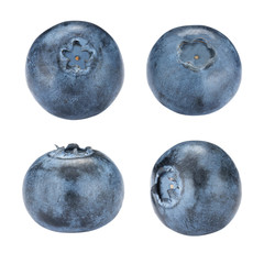 Set of Blueberry On White Background