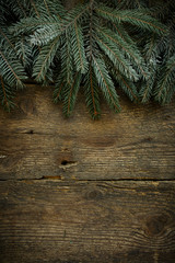 Christmas tree branches on wooden texture