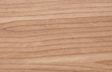 bright wood texture for backgrounds and overlays