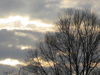 Bagliori di sole