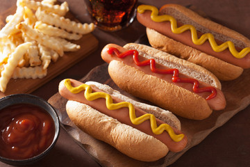 grilled hot dogs with mustard ketchup and french fries