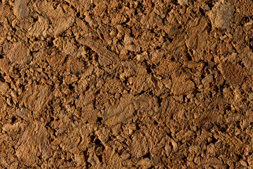 Laterite stone walkway